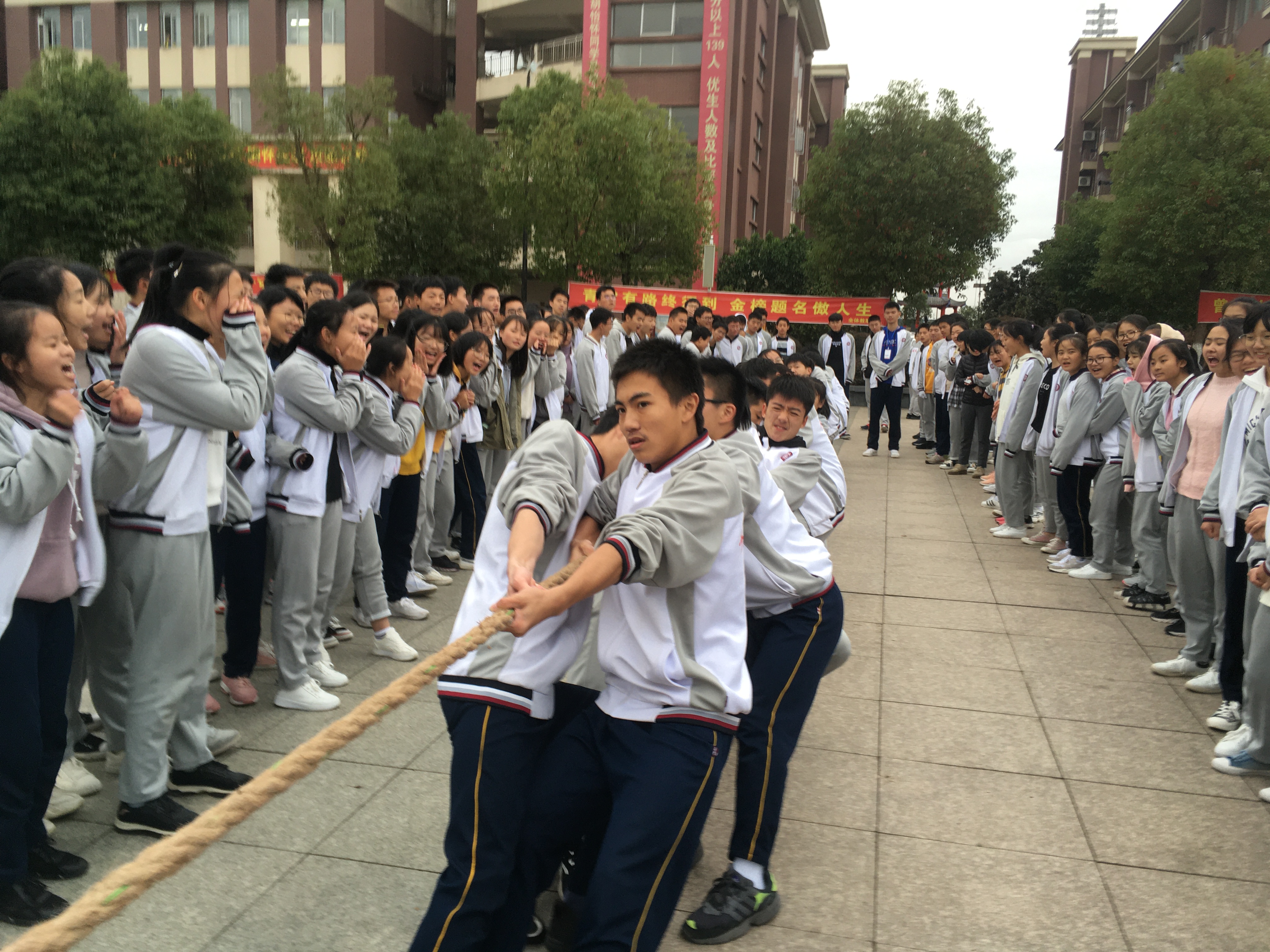 FD1E05729BF099BFCB67C98C9A9EC815.jpg FD1E05729BF099BFCB67C98C9A9EC815.jpg